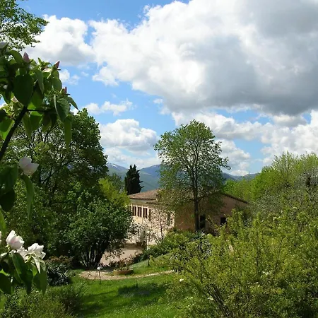 Gocce Di Camarzano Collegiglioni