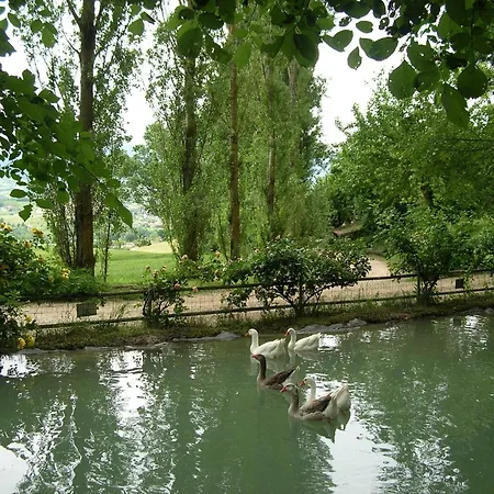 Bed & Breakfast Gocce Di Camarzano *