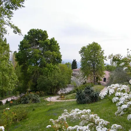 Gocce Di Camarzano Bed & Breakfast