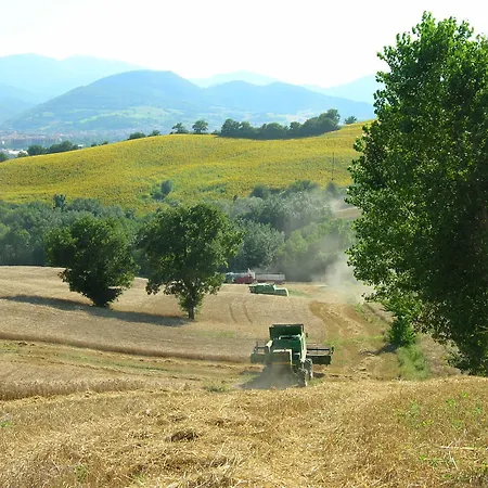 Bed & Breakfast Gocce Di Camarzano *